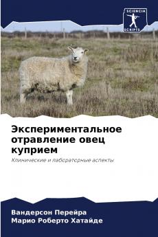 ????????????????? ?????????? ???? ???????