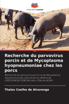 Recherche du parvovirus porcin et de Mycoplasma hyopneumoniae chez les porcs
