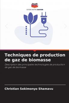 Techniques de production de gaz de biomasse