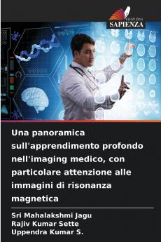 Una panoramica sull'apprendimento profondo nell'imaging medico con particolare attenzione alle immagini di risonanza magnetica