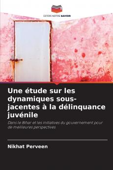 Une étude sur les dynamiques sous-jacentes à la délinquance juvénile