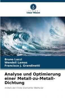 Analyse und Optimierung einer Metall-zu-Metall-Dichtung