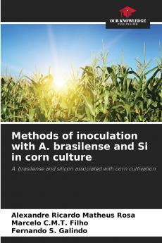 Methods of inoculation with A. brasilense and Si in corn culture