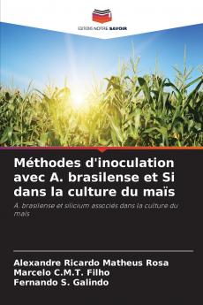 Méthodes d'inoculation avec A. brasilense et Si dans la culture du maïs
