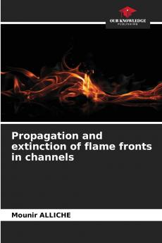 Propagation and extinction of flame fronts in channels