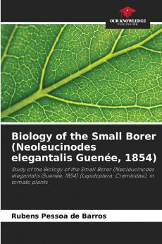 Biology of the Small Borer (Neoleucinodes elegantalis Guenée 1854)