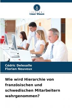 Wie wird Hierarchie von französischen und schwedischen Mitarbeitern wahrgenommen?