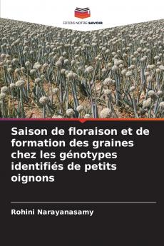 Saison de floraison et de formation des graines chez les génotypes identifiés de petits oignons