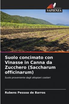Suolo concimato con Vinasse in Canna da Zucchero (Saccharum officinarum)