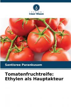 Tomatenfruchtreife