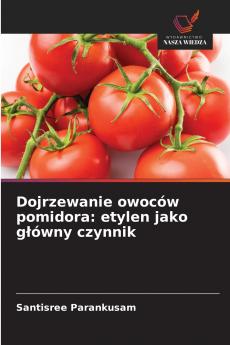 Dojrzewanie owoców pomidora