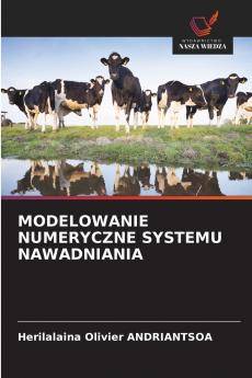 MODELOWANIE NUMERYCZNE SYSTEMU NAWADNIANIA