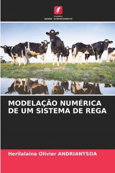 MODELAÇÃO NUMÉRICA DE UM SISTEMA DE REGA
