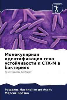 ???????????? ????????????? ???? ???????????? ? CTX-M ? ?????????