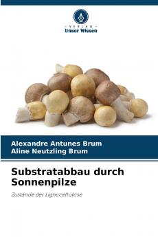 Substratabbau durch Sonnenpilze