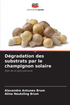 Dégradation des substrats par le champignon solaire