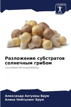 ?????????? ?????????? ????????? ??????