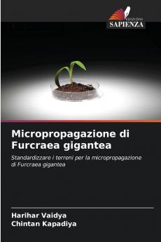 Micropropagazione di Furcraea gigantea
