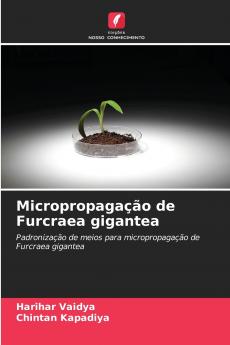 Micropropagação de Furcraea gigantea