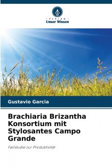 Brachiaria Brizantha Konsortium mit Stylosantes Campo Grande