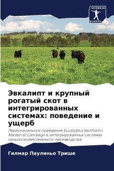 ???????? ? ??????? ??????? ???? ? ??????????????? ????????