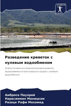 ?????????? ???????? ? ??????? ???????????