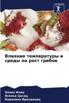 ??????? ??????????? ? ????? ?? ???? ??????