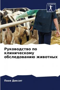 ??????????? ?? ???????????? ???????????? ????????