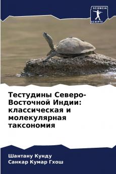 ????????? ??????-????????? ?????