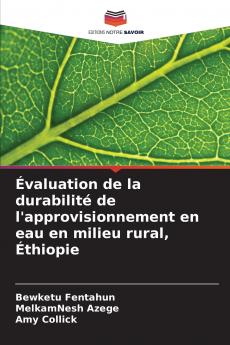 Évaluation de la durabilité de l'approvisionnement en eau en milieu rural Éthiopie