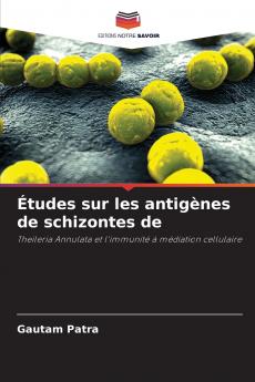 Études sur les antigènes de schizontes de