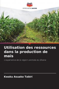 Utilisation des ressources dans la production de maïs