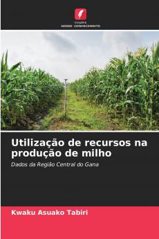 Utilização de recursos na produção de milho