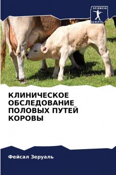 ??????????? ???????????? ??????? ????? ??????