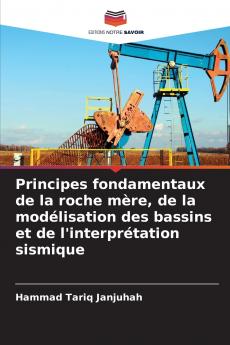 Principes fondamentaux de la roche mère de la modélisation des bassins et de l'interprétation sismique