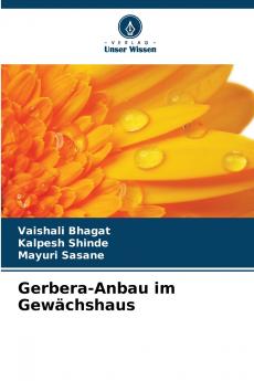 Gerbera-Anbau im Gewächshaus