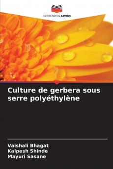 Culture de gerbera sous serre polyéthylène