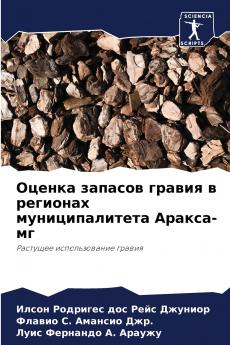 ?????? ??????? ?????? ? ???????? ?????????????? ??????-??