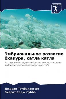 ????????????? ???????? ??????? ????? ?????