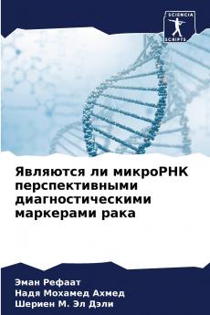 ???????? ?? ???????? ?????????????? ???????????????? ????????? ????