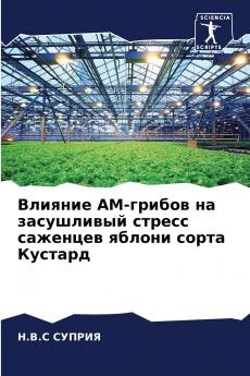 ??????? ??-?????? ?? ?????????? ?????? ???????? ?????? ????? ???????