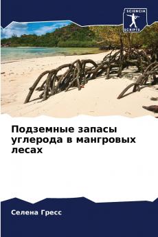 ????????? ?????? ???????? ? ????????? ?????