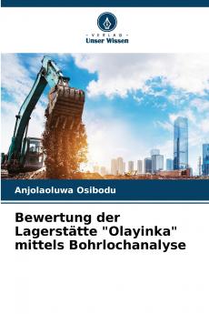 Bewertung der Lagerstätte Olayinka mittels Bohrlochanalyse