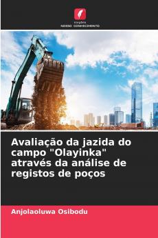 Avaliação da jazida do campo Olayinka através da análise de registos de poços
