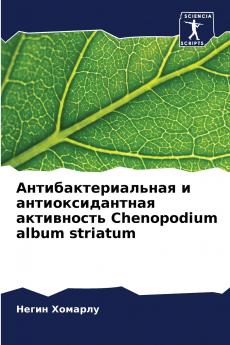 ????????????????? ? ??????????????? ?????????? Chenopodium album striatum
