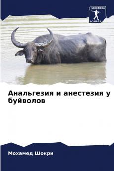 Анальгезия и анестезия у буйволов