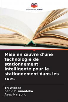 Mise en œuvre d'une technologie de stationnement intelligente pour le stationnement dans les rues