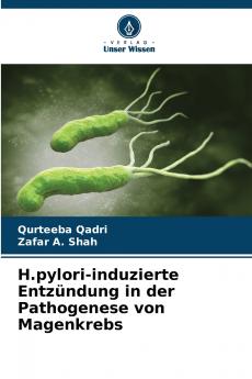 H.pylori-induzierte Entzündung in der Pathogenese von Magenkrebs