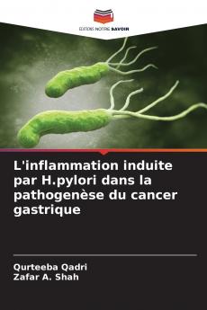 L'inflammation induite par H.pylori dans la pathogenèse du cancer gastrique