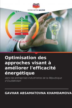 Optimisation des approches visant à améliorer l'efficacité énergétique